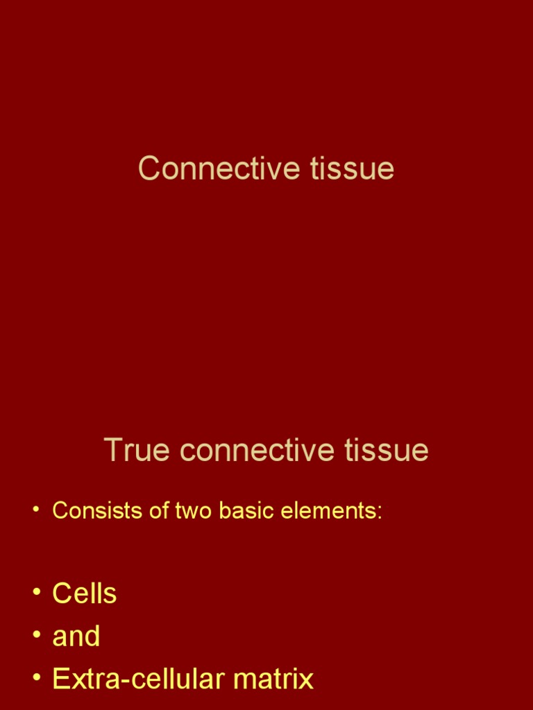 Connective Tissue | PDF | Connective Tissue | Extracellular Matrix