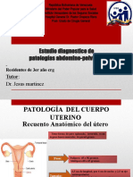 Estudio Diagnostico de Patologías Abdomino-Pelvicas