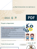 Impacto de La Prevencion en Mexico