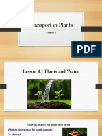 Part 1 Plant Transport