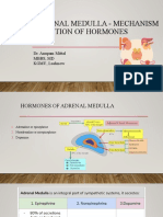 Adrenal Medulla and Hormone Work