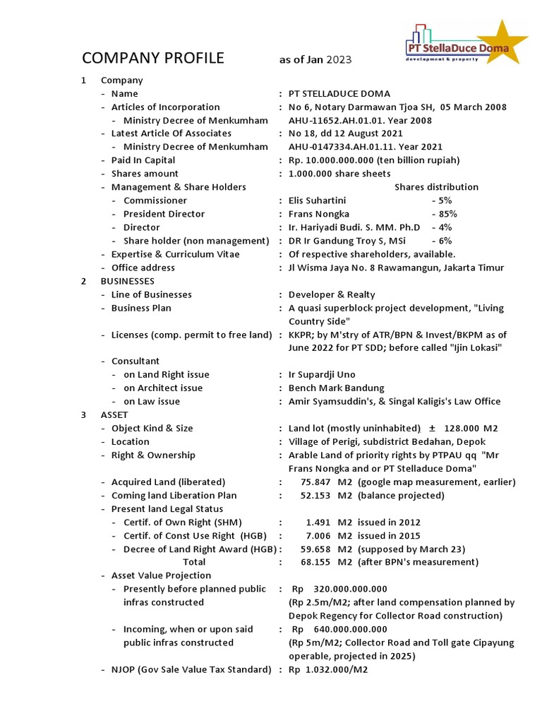 Comp Profile PT SDD 2023 | PDF