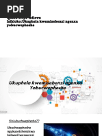 PDF Document