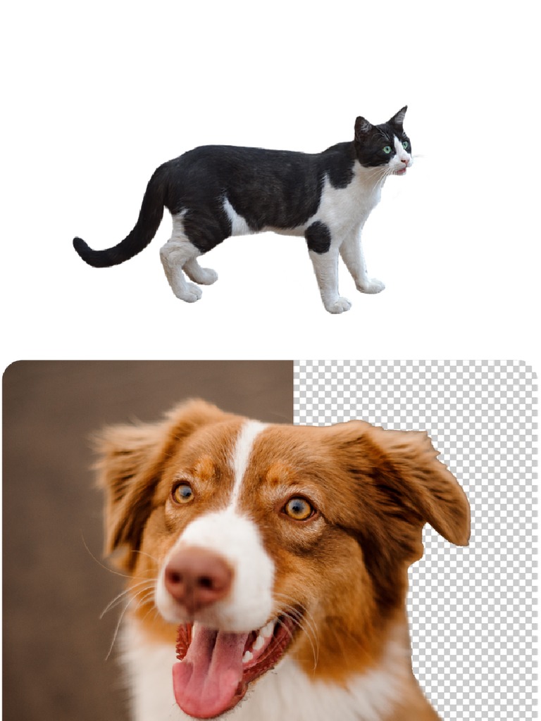 PNG 2 PDF | PDF