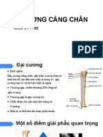 GÃY XƯƠNG CẲNG CHÂN