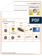 Reading Practice Growing A Plant Worksheet