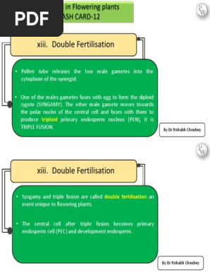 Sexual reproduction in flowering plant ncert flash card 12
