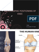 Knee Joint 4