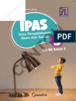 IPAS 5-Dummy