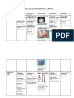 Bacilos Gram Negativos Curvos