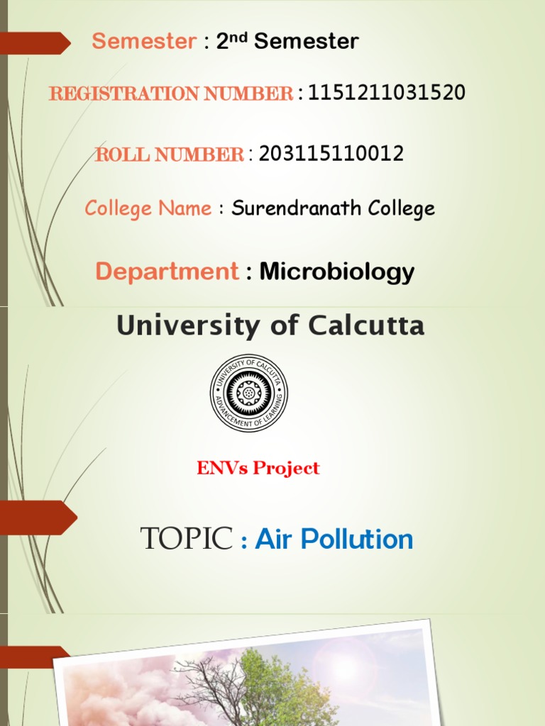 Understanding Air Pollution Effects | PDF | Atmosphere Of Earth | Air ...