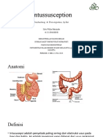 Intussusception - Silvi Willia (Autosaved)