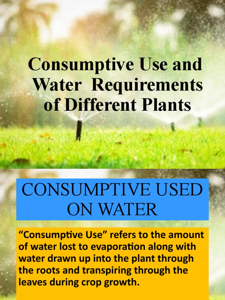 Consumptive Use and Water Needs of Crops | PDF | Water | Earth Sciences
