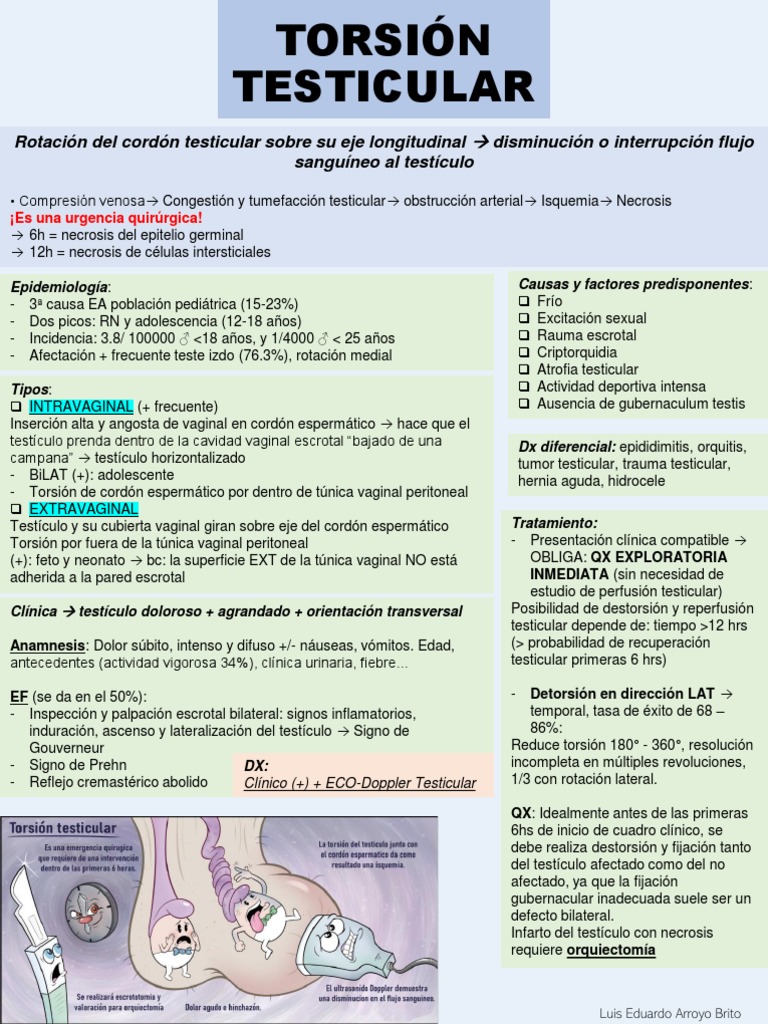Torsión Testicular - Luis Arroyo | PDF