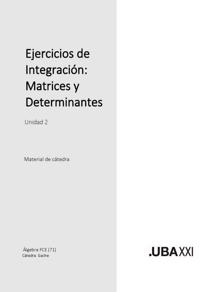 U2 - Ejercicios de Integración - Matrices y Determinantes - 2022 - 2C | PDF