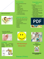 Febris Leaflet