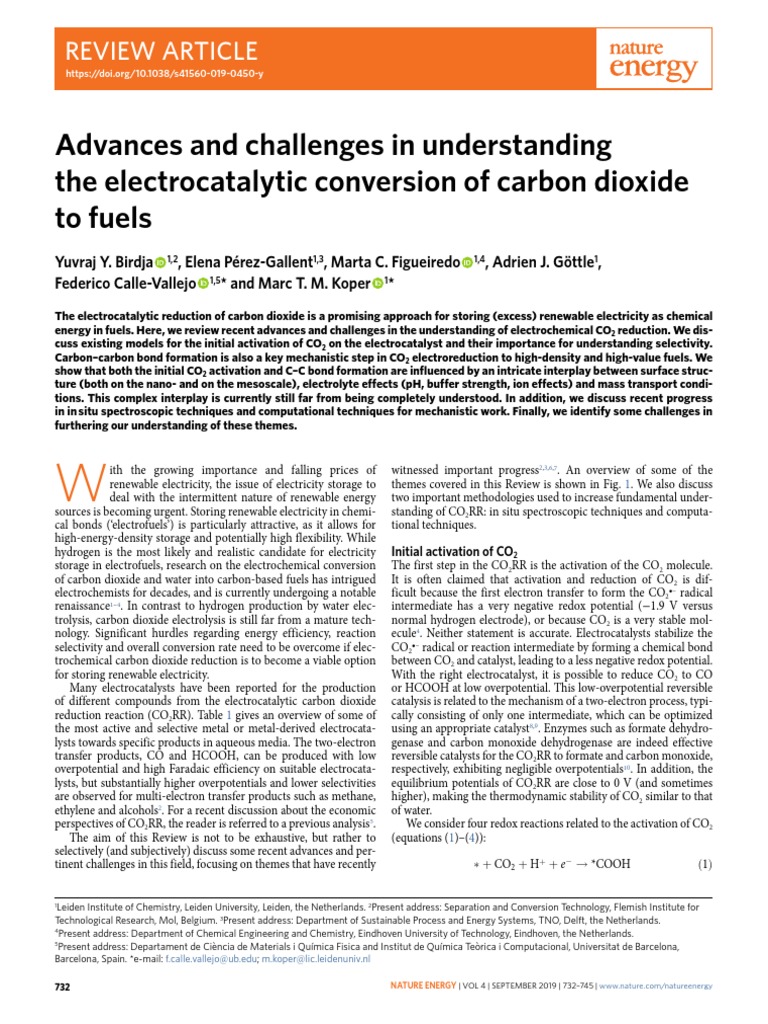 Advances and Challenges in Understanding The Electrocatalytic
