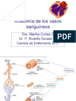 Anatomia de Los Vasos Sanguineos 2017