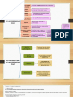 Historia Natural de La Enfermedad PDF