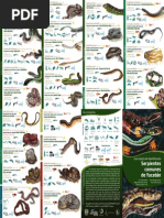 CH 2 Snake Charmer Story | PDF | Snake | Squamata