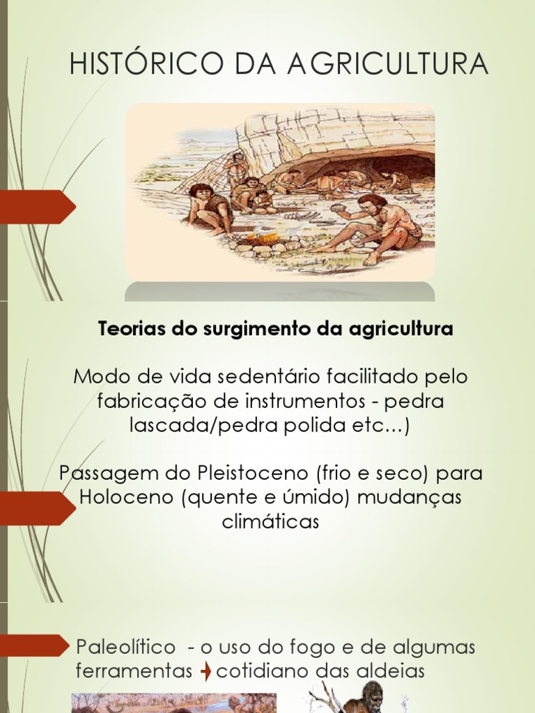 Origem e Evolução da Agricultura | PDF | Agricultura | Batata