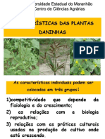 2023aula 2 - Característica Das PDs