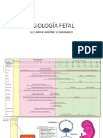 Fisiología Fetal