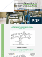 2 Diferencias Entre Diversificación Curricular y Currículo Propio - Arbol