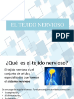 El Tejido Nervioso