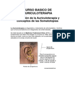 Definición de La Auriculoterapia y Conceptos de Las Somatotopía