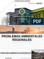 Clase 10, 11 Problemática Ambiental Regionales