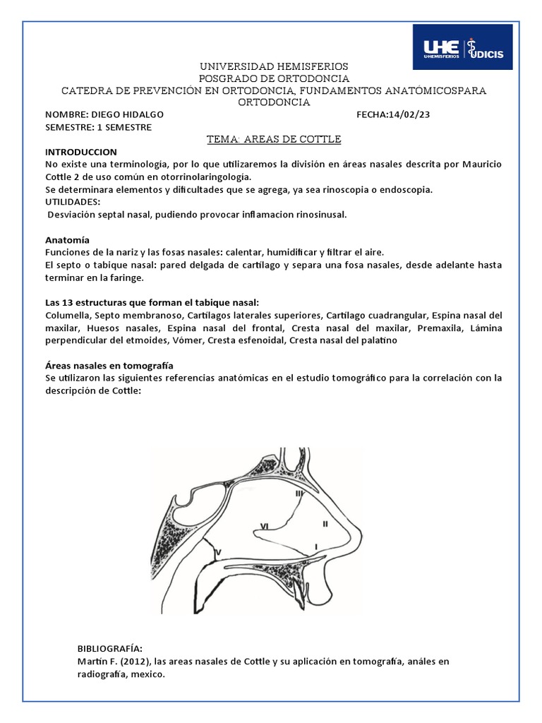Áreas Nasales de Cottle en Tomografía | PDF | Anatomía humana | Cabeza ...