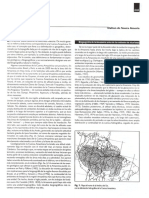 Amorim 2001_dos amazonias