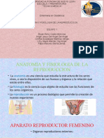 Enfermeria en Obstetricia, Presentacion