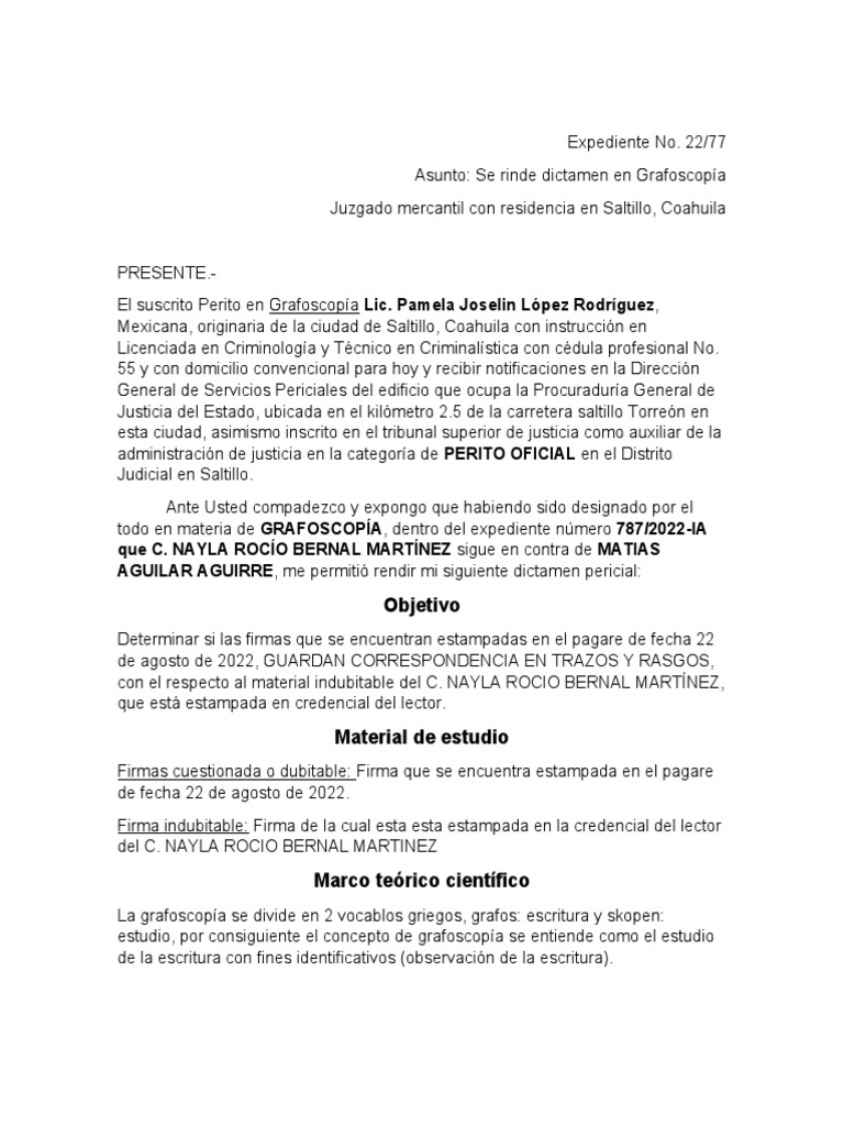 dictamen-pericial-pdf-testigo-experto