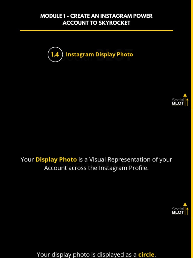 Module 1.4 Perfecting Your Instagram Display Picture | PDF | Career ...