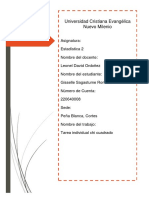 Tarea Individual 22064008