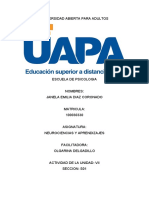 UNIVERSIDAD ABIERTA PARA ADULTOS Neurociencias