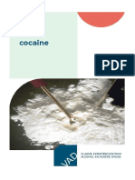 Dossier Cocaine Update WEB