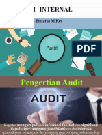 Audit Internal