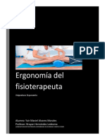 Articulo Ergonomia Fisioterapeuta