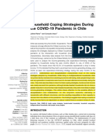 Good 1 - Household Coping Strategies During COVID in Chile