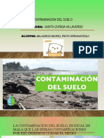 Tema Contaminacion Del Suelo Completo.-.