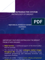 Lab Act Breast Mei 2022