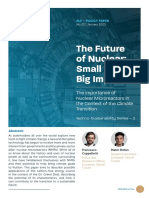 Policy Paper 22 The Future of Nuclear Small Size Big Impact