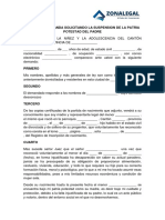 Modelo de Demanda Solicitando La Suspension de La Patria Potestad Del Padre