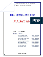 (123doc) Tieu Luan Nen Mong Ma Sat Am