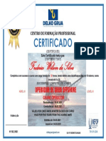 CERTIFICADO DELKO NOVO Grua Offshore