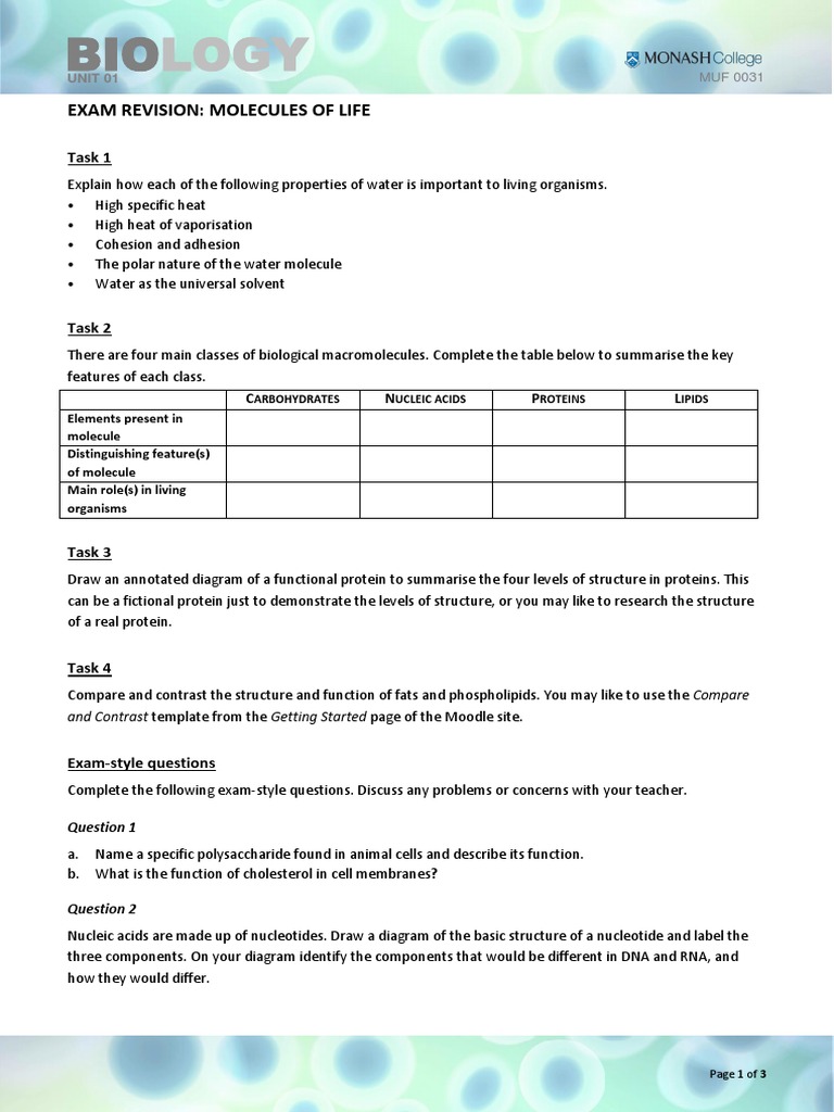 Biomolecules Exam Revision PDF Proteins Biomolecules