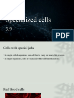 3.9 Specialised Cells (Biology Cambridge)